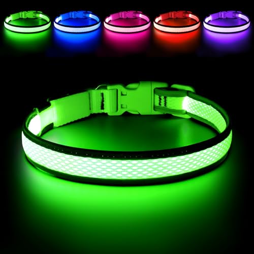 Best Dog Led Collars