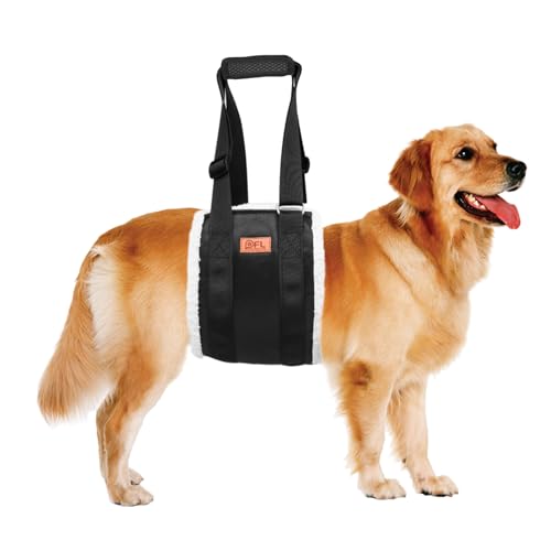 Best Dog Lift Harnesses