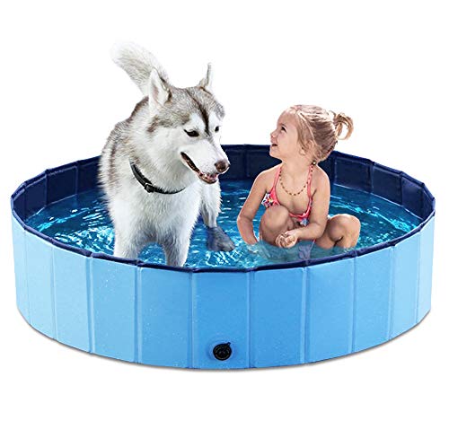 Best Dog Pools