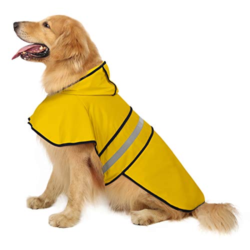 Best Dog Raincoats