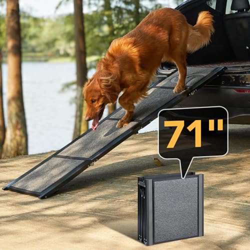Best Dog Ramps for Your Pooch