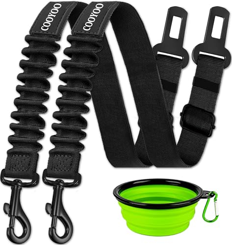 Best Dog Seat Belts to Keep Your Canine Safe