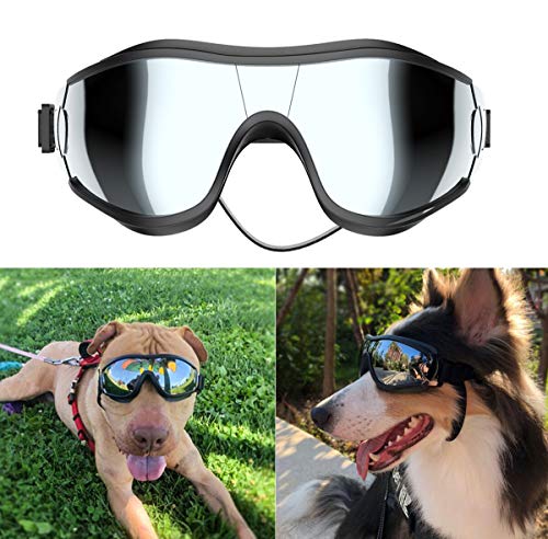 Best Dog Sunglasses And Goggles