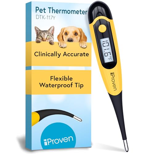 Best Dog Thermometers