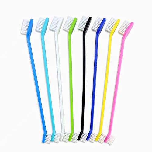 Best Dog Toothbrushes