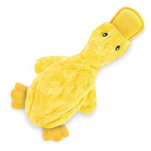 Best Dog Toys Reviewed