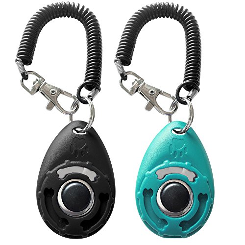 Best Dog Training Clickers