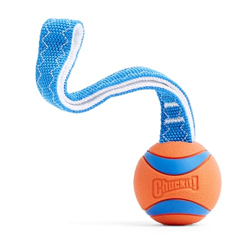 Best Dog Training Toys