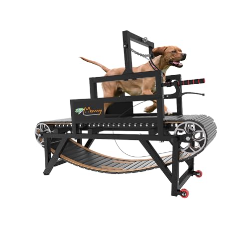 Best Dog Treadmills