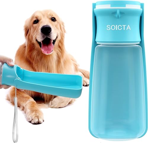 Best Dog Water Bottle