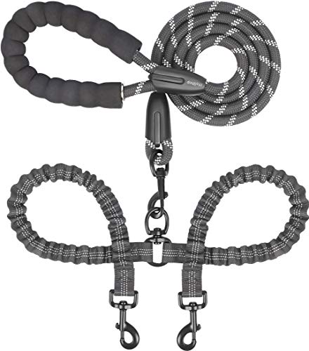 Best Double Dog Leash