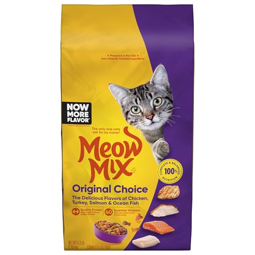 Best Dry Cat Food