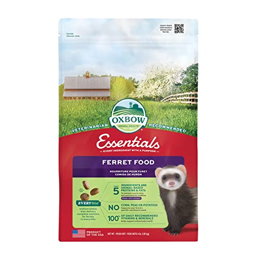 Best Ferret Food