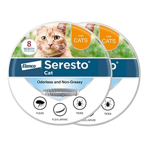 Best Flea Collars for Cats