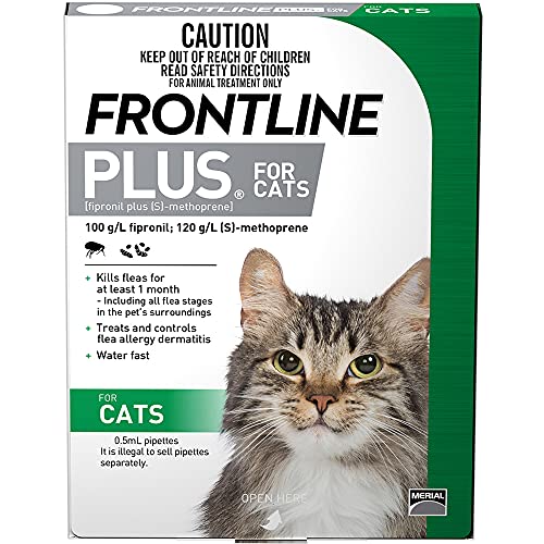 Best Flea Treatments For Cats