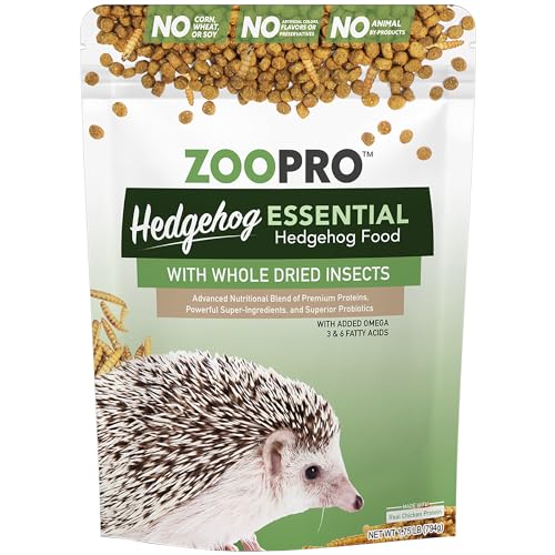 Best Food for Hedgehog