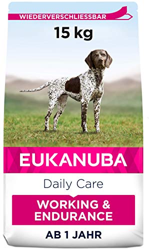 Best Food for Hunting Dogs