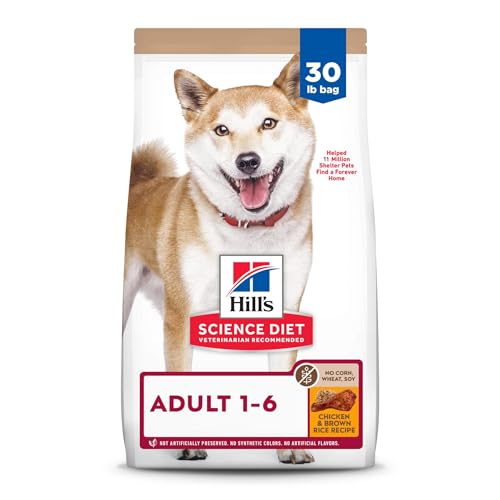 Best Food for Shiba Inu