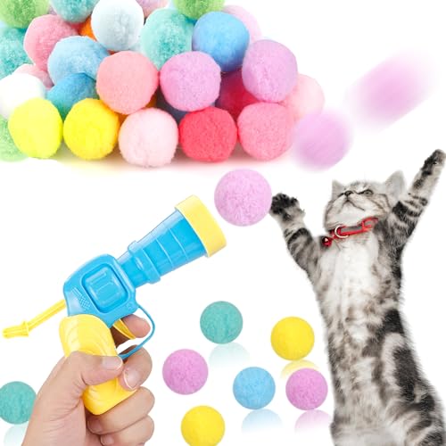 Best Gifts for Cat Lovers