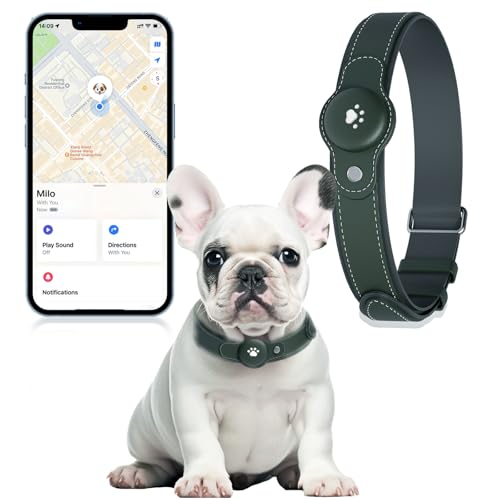 Best Gps Dog Collars And Trackers