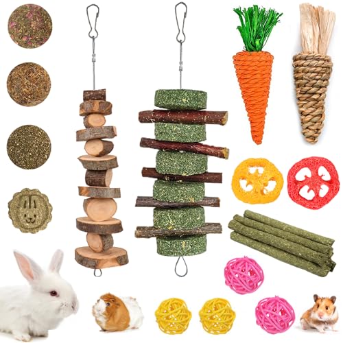 Best Guinea Pig Toy