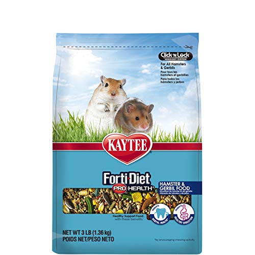 Best Hamster Food