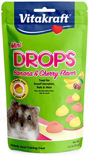 Best Hamster Treats