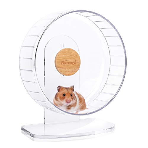 Best Hamster Wheel