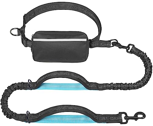 Best Hands Free Dog Leashes