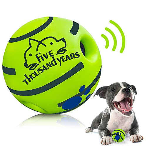 Best Herding Balls for Dogs