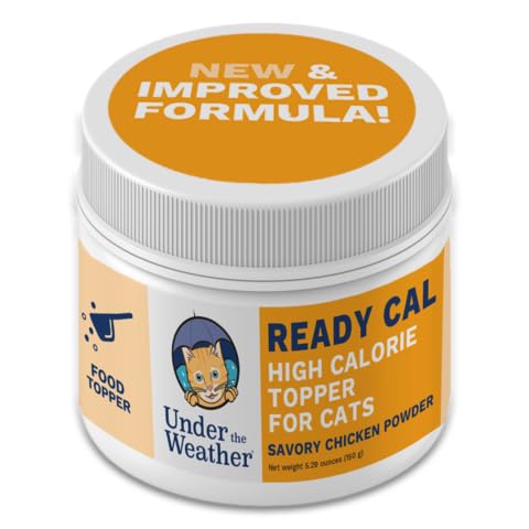 Best High Calorie Cat Food