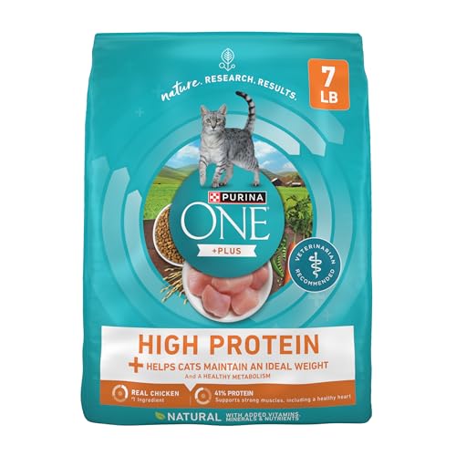 Best High Protein Cat Food