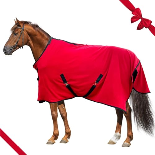 Best Horse Care Blankets