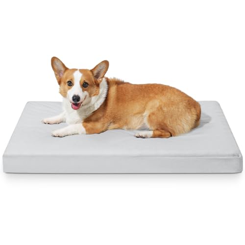 Best Indestructible Dog Beds