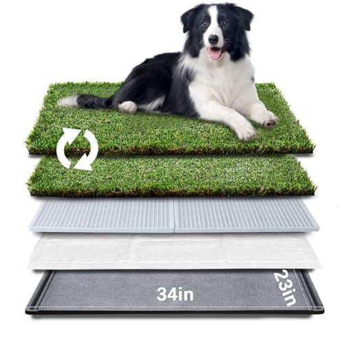 Best Indoor Dog Potties