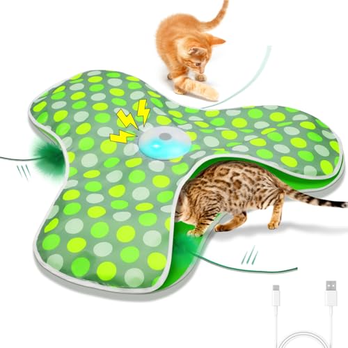 Best Interactive Cat Toys