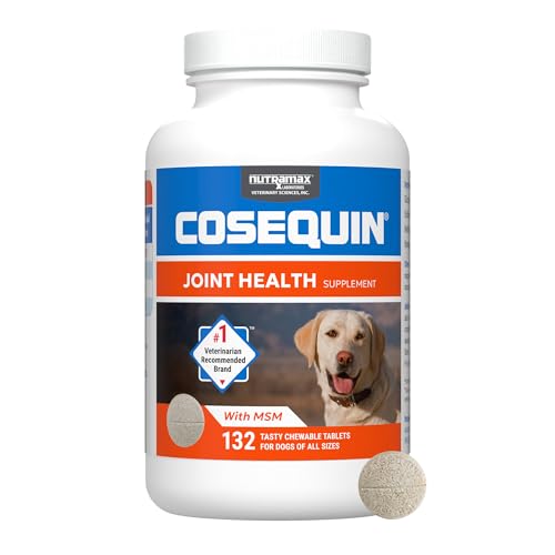 Best Joint Supplements for Dogs