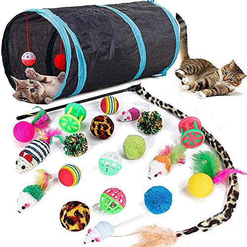Best Kitten Toys