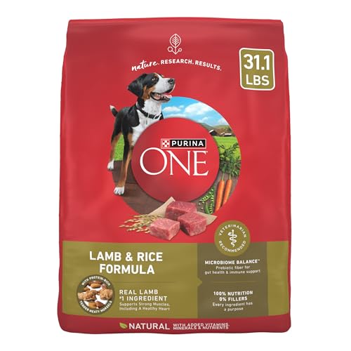 Best Lamb Dog Food