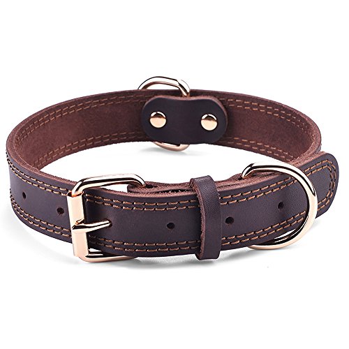 Best Leather Dog Collars