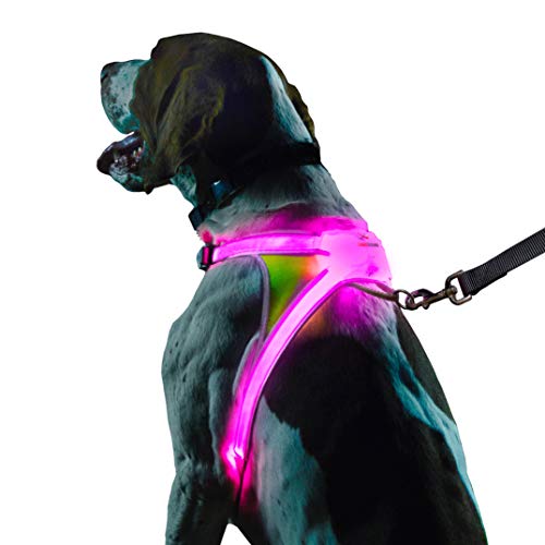 Best Led Dog Harnesses