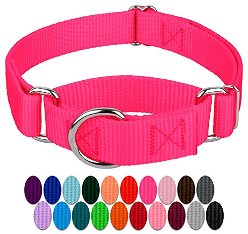 Best Martingale Dog Collars