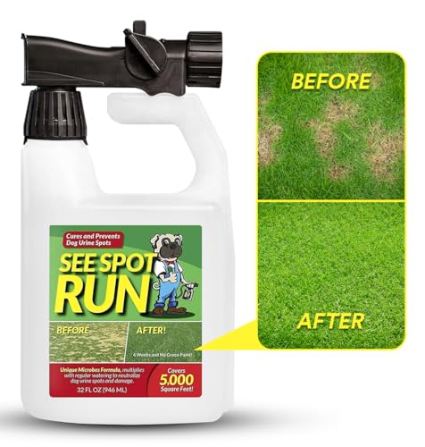 Best Mulch for Dogs