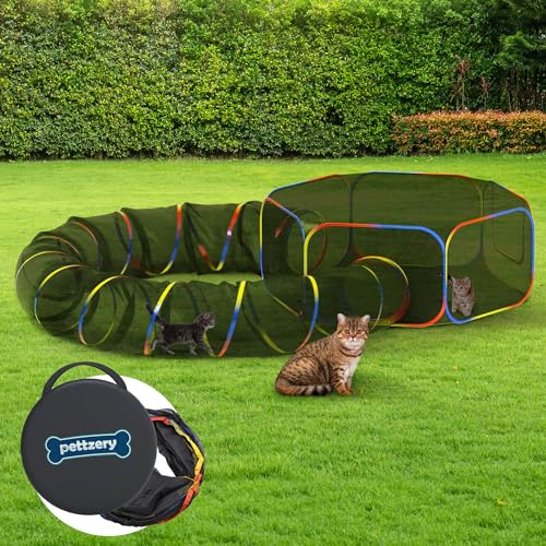 Best Outdoor Cat Enclosures