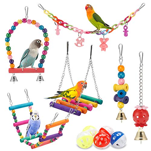 Best Parakeet Toys