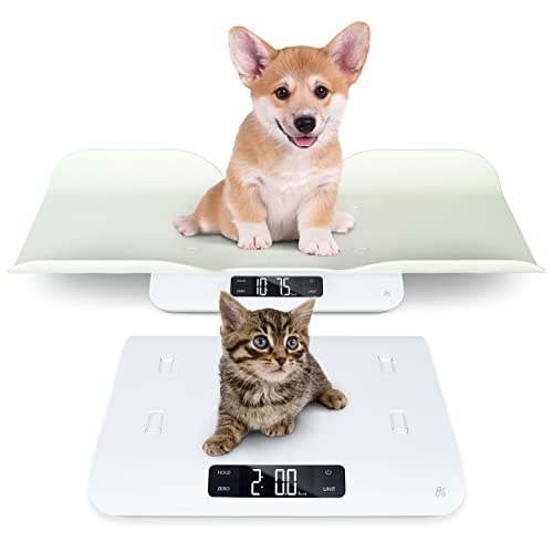 Best Pet Scales