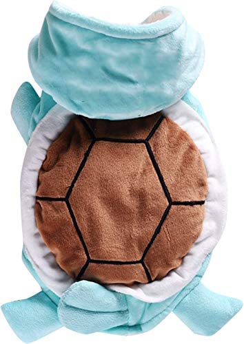 Best Pokemon Costumes for Dogs