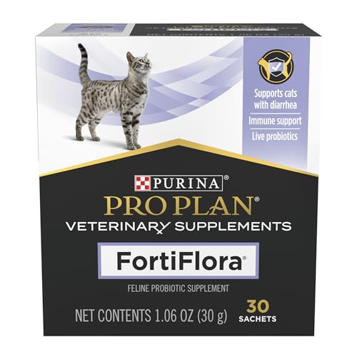Best Probiotics for Cats