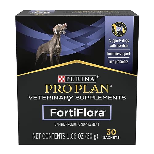 Best Probiotics for Dogs