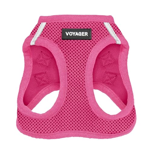 Best Puppy Harnesses: Top Picks for Comfort, Control, and Style